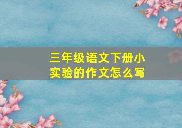 三年级语文下册小实验的作文怎么写