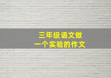 三年级语文做一个实验的作文