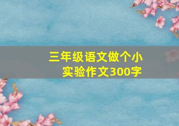 三年级语文做个小实验作文300字