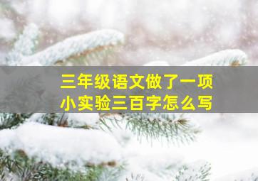 三年级语文做了一项小实验三百字怎么写