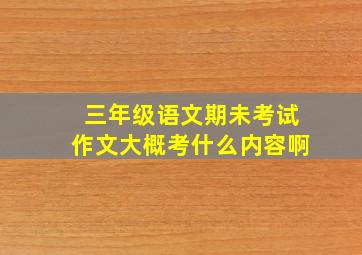 三年级语文期未考试作文大概考什么内容啊