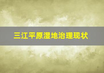 三江平原湿地治理现状