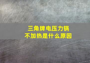 三角牌电压力锅不加热是什么原因