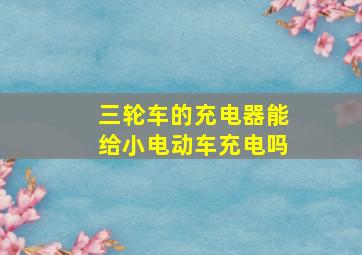 三轮车的充电器能给小电动车充电吗