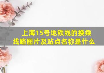 上海15号地铁线的换乘线路图片及站点名称是什么