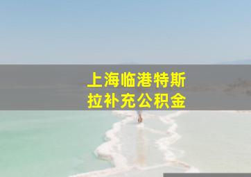 上海临港特斯拉补充公积金