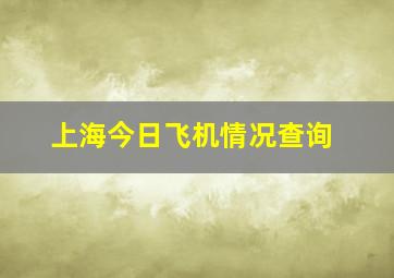 上海今日飞机情况查询