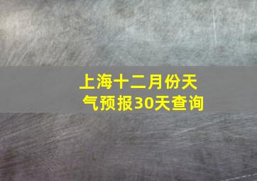 上海十二月份天气预报30天查询