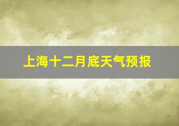 上海十二月底天气预报