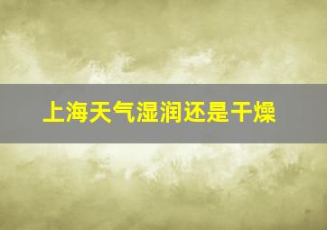 上海天气湿润还是干燥