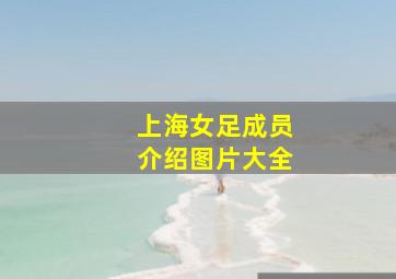 上海女足成员介绍图片大全