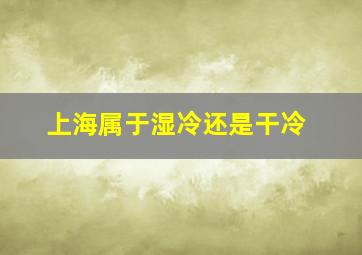 上海属于湿冷还是干冷