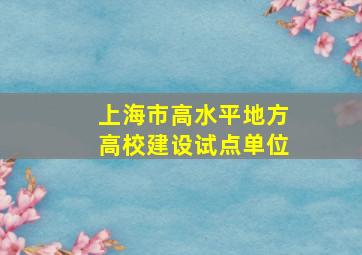 上海市高水平地方高校建设试点单位