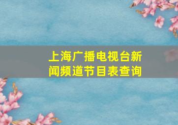 上海广播电视台新闻频道节目表查询