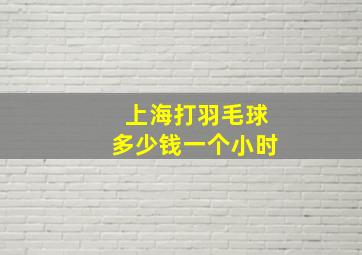 上海打羽毛球多少钱一个小时