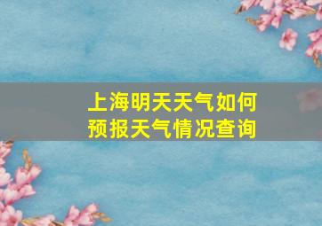 上海明天天气如何预报天气情况查询