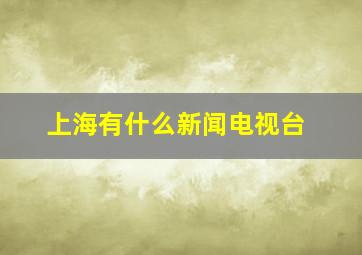 上海有什么新闻电视台