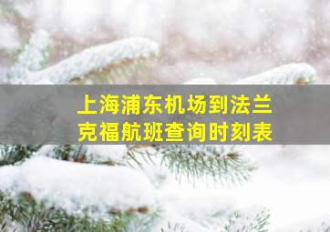 上海浦东机场到法兰克福航班查询时刻表