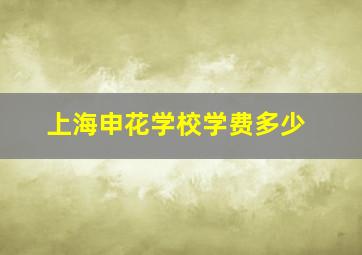 上海申花学校学费多少