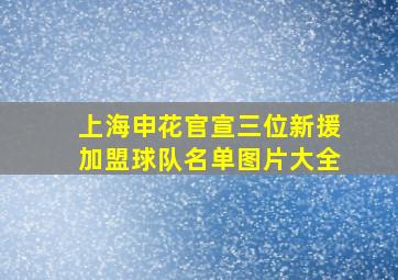 上海申花官宣三位新援加盟球队名单图片大全