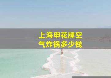 上海申花牌空气炸锅多少钱