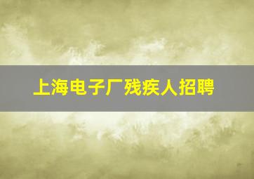 上海电子厂残疾人招聘