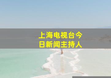 上海电视台今日新闻主持人