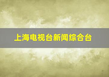 上海电视台新闻综合台