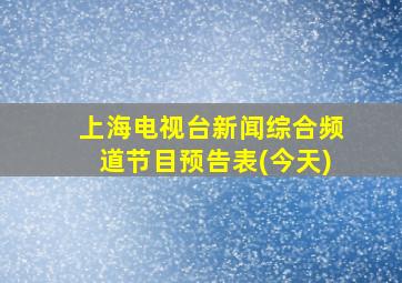 上海电视台新闻综合频道节目预告表(今天)