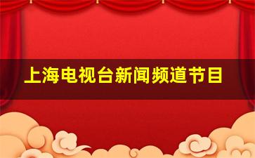 上海电视台新闻频道节目