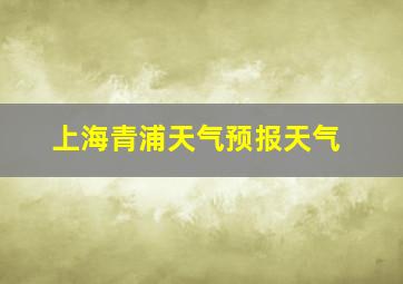 上海青浦天气预报天气