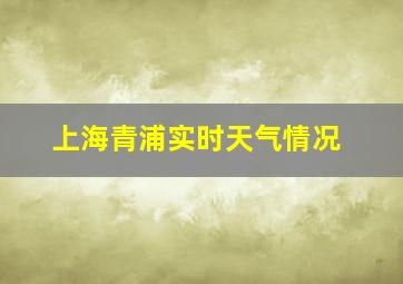 上海青浦实时天气情况