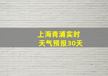 上海青浦实时天气预报30天