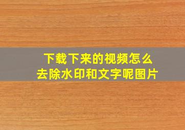 下载下来的视频怎么去除水印和文字呢图片