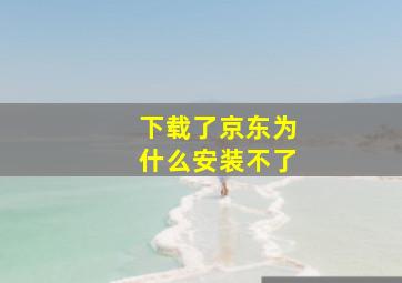 下载了京东为什么安装不了