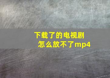 下载了的电视剧怎么放不了mp4