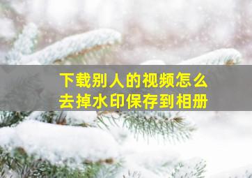 下载别人的视频怎么去掉水印保存到相册