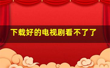 下载好的电视剧看不了了