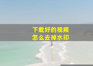 下载好的视频怎么去掉水印