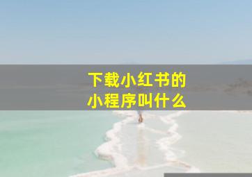 下载小红书的小程序叫什么