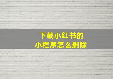 下载小红书的小程序怎么删除