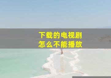 下载的电视剧怎么不能播放