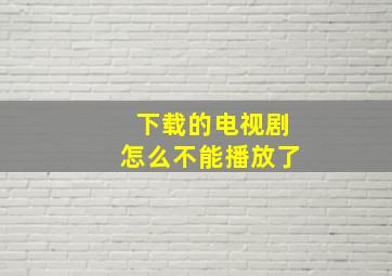 下载的电视剧怎么不能播放了