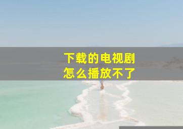 下载的电视剧怎么播放不了