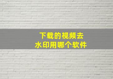 下载的视频去水印用哪个软件