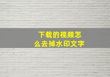 下载的视频怎么去掉水印文字