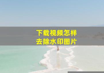 下载视频怎样去除水印图片