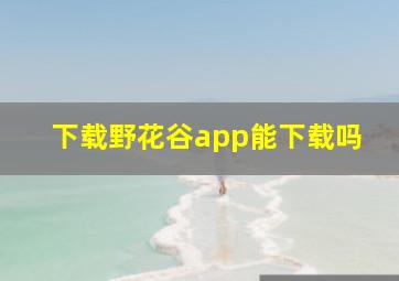 下载野花谷app能下载吗