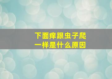 下面痒跟虫子爬一样是什么原因