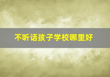 不听话孩子学校哪里好